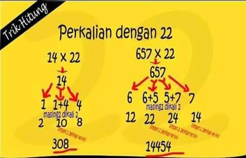 33